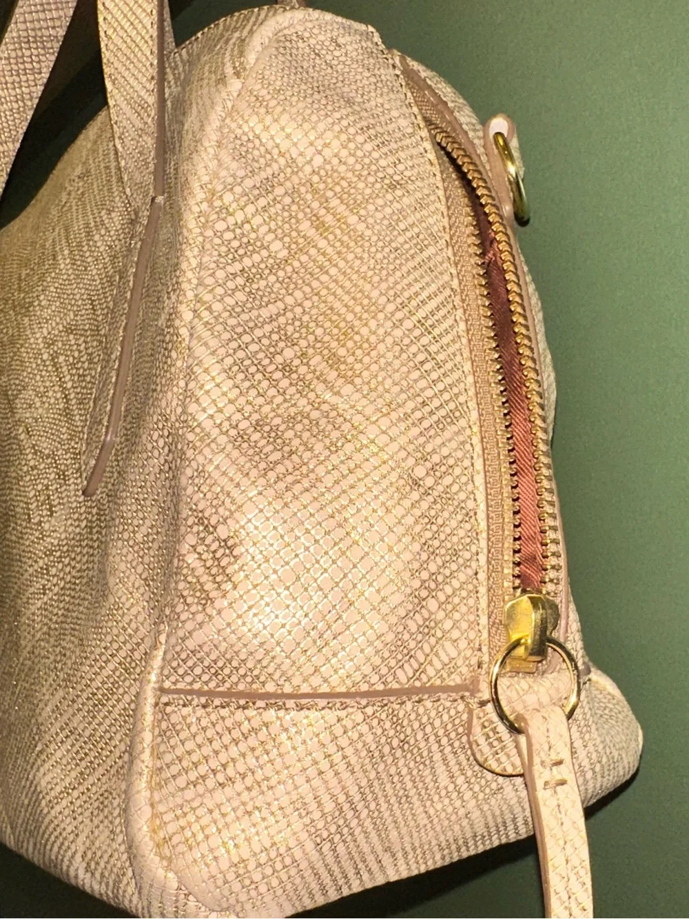 Fossil material genuine